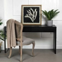 Biggie Best Coastal Coral Picture A New