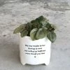 New East Of India Porcelain Planter May Your Troubles