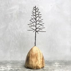 East Of India Winter Tree On Wood