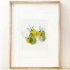 Francesca Iannaccone New Apple Bowl Art Print (Unframed)