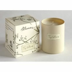 New Illumens Abbaye Fig Valloires Candle In Glass