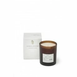 Illumens Cedar & Guaiacwood - Scented Candle