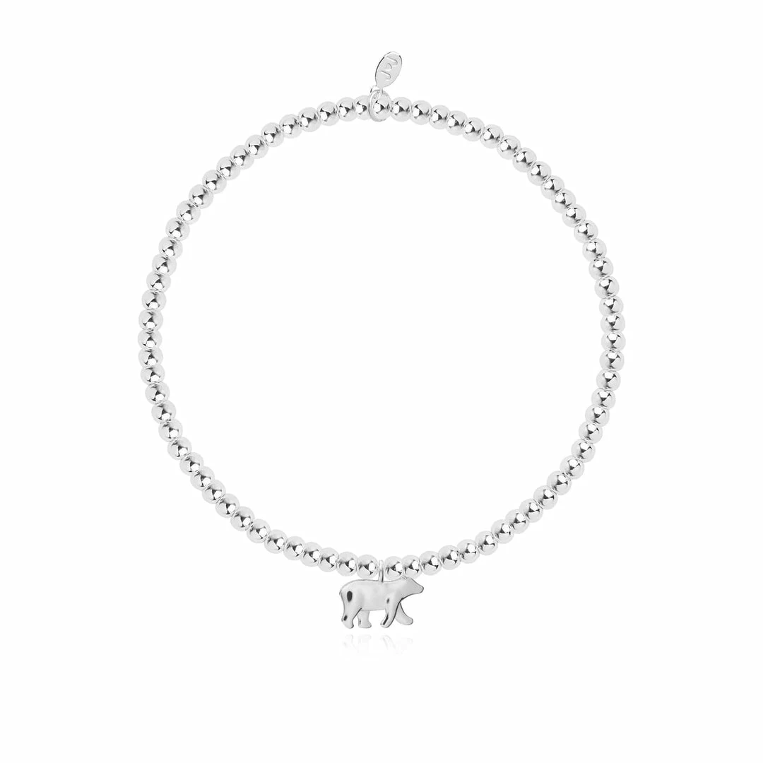 Cheapest 🤩 Joma Jewellery Children's A Little Polar Bear Bracelet New 😀 2 Joma Jewellery Children's A Little Polar Bear Bracelet New