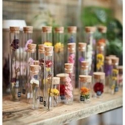 Muno Dried Flowers In A 20cm Tube Display