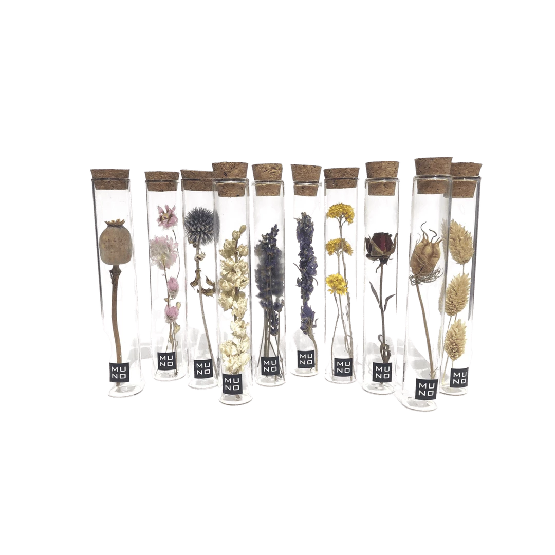 Discount 🤩 Muno New Dried Flowers In A 15cm Tube Display 👏 1 Muno New Dried Flowers In A 15cm Tube Display