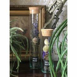 Muno New Dried Flowers In A 30cm Tube Display