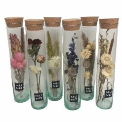 Muno New Dried Flowers In A 30cm Tube Display