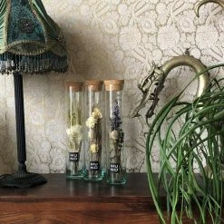 Muno New Dried Flowers In A 30cm Tube Display