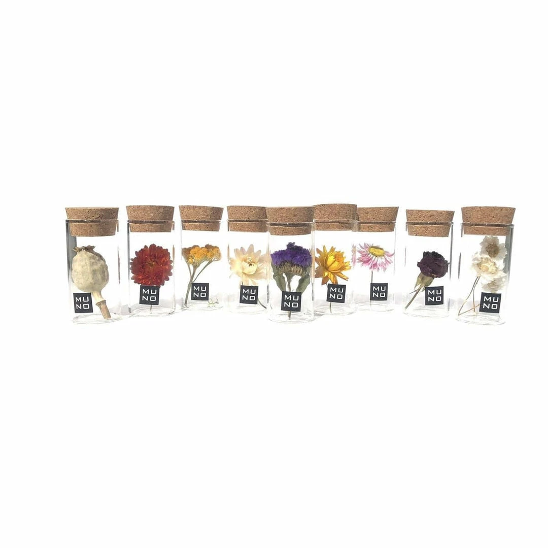 Best Pirce ๐งจ Muno Dried Flowers In A 7cm Tube Display New โจ 1 Muno Dried Flowers In A 7cm Tube Display New