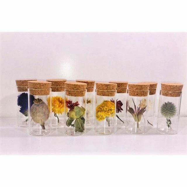 Best Pirce ๐งจ Muno Dried Flowers In A 7cm Tube Display New โจ 2 Muno Dried Flowers In A 7cm Tube Display New