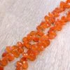 Precious Sparkle Beads Carnelian Faceted Pear Briolettes (Set Of 5)