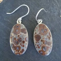 Precious Sparkle Leopardskin Jasper Oval Sterling Silver Earrings Jewellery