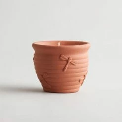 St Eval Nature's Garden Greens Large Dragonfly Pot New